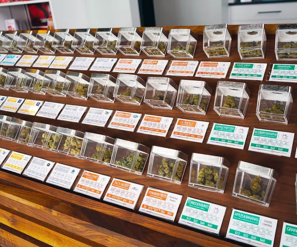 BCM - Galeria 01 BCM - Galeria 01