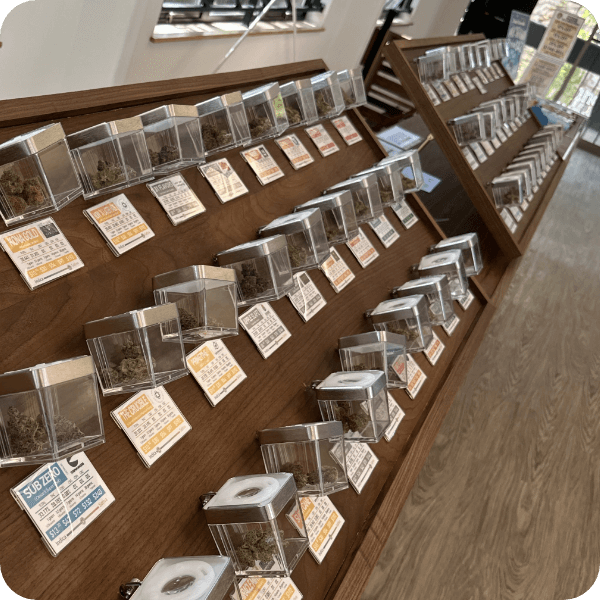 PSU - DOWNTOWN PDX-4 PSU - DOWNTOWN PDX-4